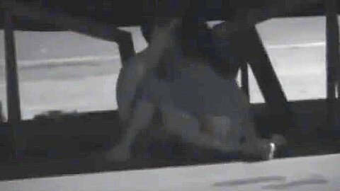 CLIP #290 _ Voyeurismo Public Sex | watch  HD spy camera xxx video for free