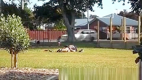 Couple making out in park | watch  HD spy camera sex video for free