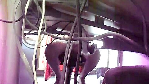 Sous le bureau 4 | watch  HD hidden camera porn movie for free