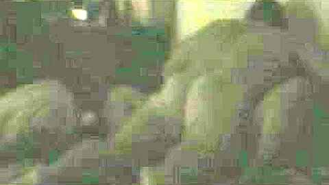 Cheating slut caught | watch  HD voyeur cam sex video for free