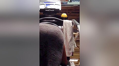 #1 Latina meat | watch  HD spy camera sex movie for free