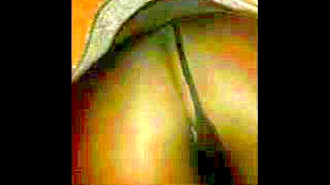 UP COLLANTSTORE | watch  HD spy cam porn video for free