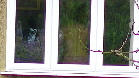 voyeur (fake) neighbour | watch  HD candid cam porn movie for free