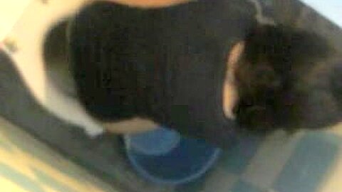 VOYEUR (fake) SPY 4 | watch  HD hidden cam xxx movie for free