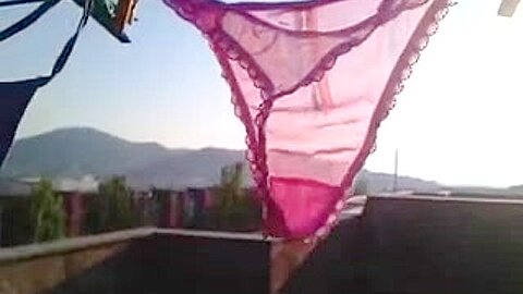 Home Panties | watch  HD voyeur camera xxx video for free