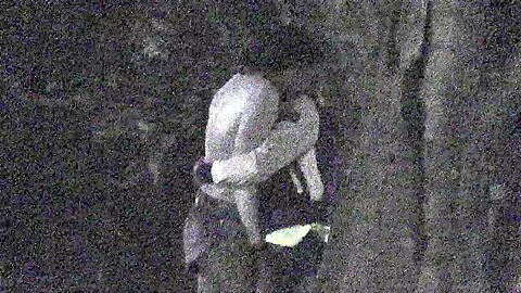 Park 4 | watch  HD voyeur cam sex video for free
