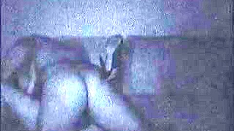 Vid1 | watch  HD candid cam sex movie for free