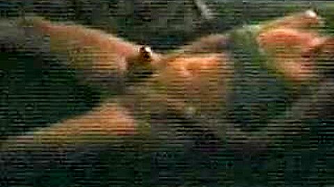 Shaved | watch  HD voyeur cam sex movie for free
