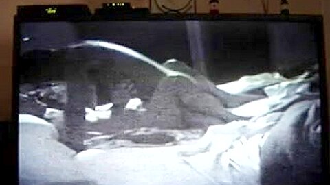 me getting fucked | watch  HD spy cam sex video for free