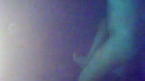 Pool play10 | watch  HD spy camera xxx video for free