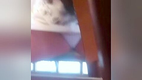 Upskirt (fake) Cameltoe 2 | watch  HD candid camera xxx movie for free