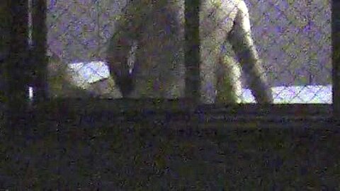 Window Voyeur (fake) 67 of 1000 | watch  HD hidden camera porn video for free