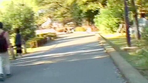 Nice walk in the park quickly turned into skirt sharking. | watch  HD voyeur cam porn video for free