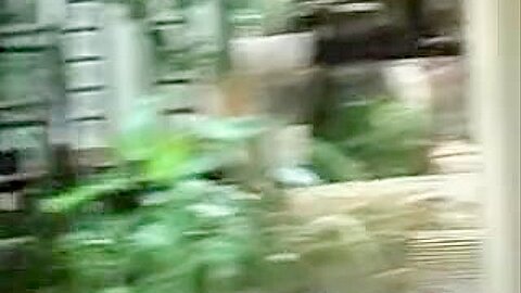 Asian teen was skirt sharked after visiting the florist (18+) | watch  HD candid camera sex video for free