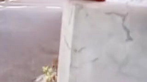 Great sharking scene of sweet oriental bimbo and some skilled fellow | watch  HD spy camera porn movie for free