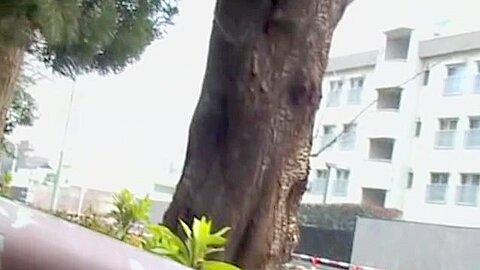 Street sharking involving a man who wanted to be a hero | watch  HD hidden cam sex movie for free