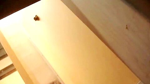 Best voyeur (fake) scenes with amateur legs and changing room asses | watch  HD candid camera porn movie for free